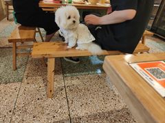 -费明中罗非鱼(大石坝店)