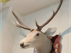 -振生清真饭店(永安道店)