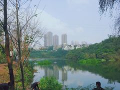 -重庆彩云湖湿地公园