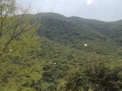 -WILDS 野有食(碧坞店)