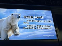 -大连圣亚海洋世界