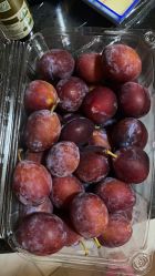 -东庭海鲜酒店(世茂广场店)