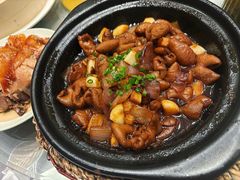-凯鸽酒楼(操场城店)