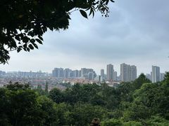 -峙山公园