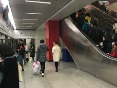 -望京西(地铁站)