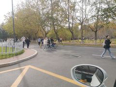 -山东科技大学（青岛校区）-图书馆