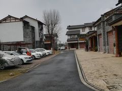 -空港花田景区