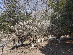-白马涧龙池景区