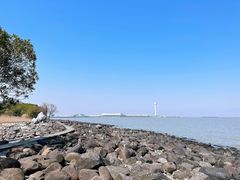 -上海吴淞炮台湾国家湿地公园