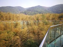 -陶祖圣境风景区