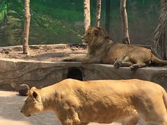 -重庆动物园·东二门售票处