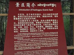 -卡定沟景区