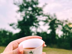 -渭河城市绿地运动公园