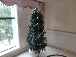 -昆明梦想医疗美容医院