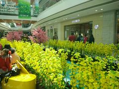 -万达广场(泰安泰山店)