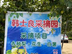 -韩士良采摘园