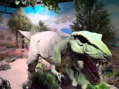 -国家自然博物馆