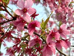 -梁鸿国家湿地公园