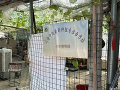 -马陆小张葡萄园农家乐