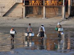 -那琴半岛地质海洋公园