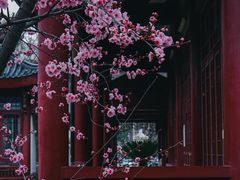 -堤角公园