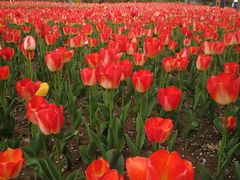 -廊坊文化艺术中心