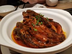 红烧黄辣丁煲-马仕玖煲·融合菜·酥不腻烤鸭(人大店)