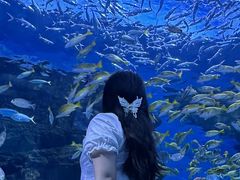 -海合安成都极地海洋公园