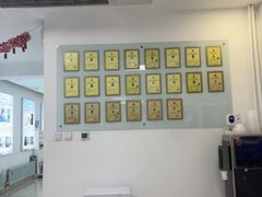 -北京观赏动物医院·24小时大型综合·猫专科·异宠专科