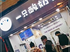 门面-一只酸奶牛(八一路店)