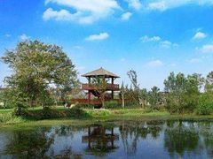 -长兴太湖图影湿地文化园