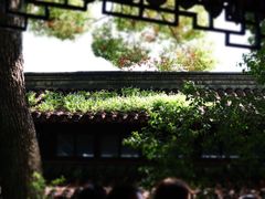 -西园戒幢律寺