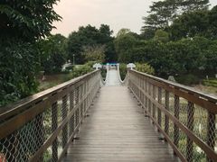 -东莞植物园