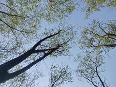 -草根堂农场