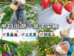 -尚果生态采摘园