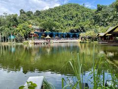 -西双版纳原始森林公园