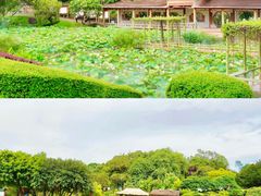 -广州莲花山旅游区