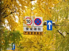 -奎星楼街