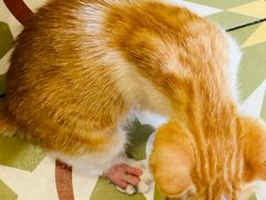 -曼谷食堂·泰国家庭料理(丹桂路店)