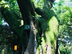 -Space君欧高空江景酒店(重庆解放碑云端之眼店)