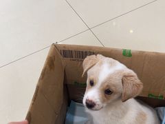 -宠颐生宠物医院·骨外科·犬猫全科诊疗中心(池州店)