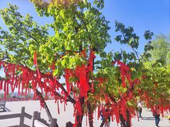 -天津盘山风景名胜区