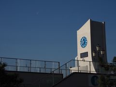 -吕氏焗小鲜•海鲜青岛菜(总店)