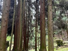 -山王坪喀斯特国家生态公园