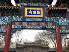 -荣国府