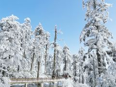 -瓦屋山景区