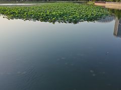 -保定东湖公园(莲池区)