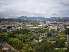 -福道