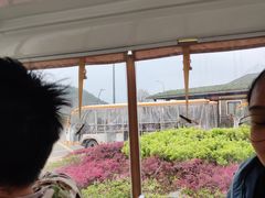 -东海半边山旅游度假区