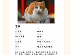 -北京石刻艺术博物馆(五塔寺)